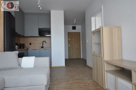 Zabrze, Grzybowice - Photo 3