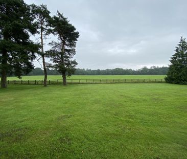 2 bedroom detached house to rent - Photo 5