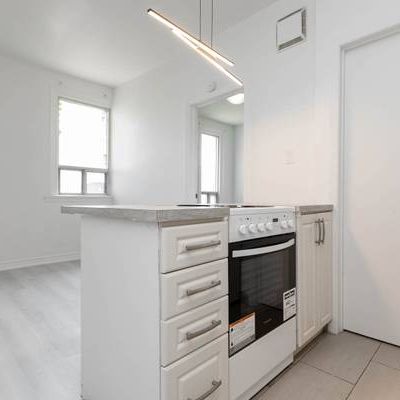 181 GERRARD ST. E. #203 - NEWLY RENOVATED 1BR/1BATH, STEPS TO TTC! - Photo 4