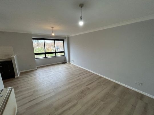 South Seventh Street - Photo 1