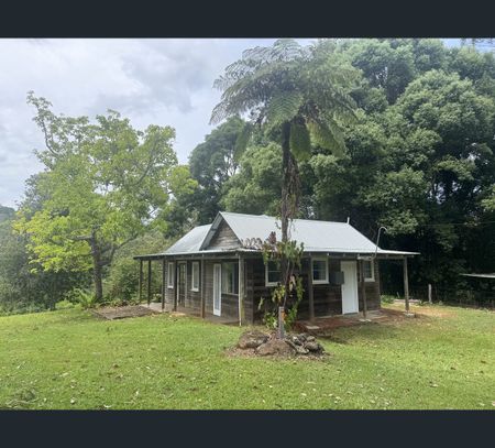 274B Coopers Creek Road, Repentance Creek, NSW 2480 - Photo 2