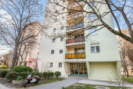 Kiadó lakás - Budapest XIII. kerület - Fotó 5