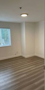 Large Renovated 2 Bedroom in Great Location - Photo 3