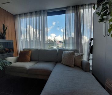 1 Bedroom mordern apartment - Handbag dog or Cat is welcome! - Photo 4