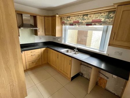 3 Stevenson Terrace, Lurgan, BT66 7AL - Photo 4