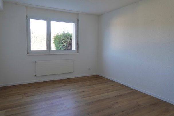 Corbusier 25 – Magnifique appartement rénové de 2 pièces, environ 60m2, au rez inférieur avec une belle terrasse privative - Foto 1