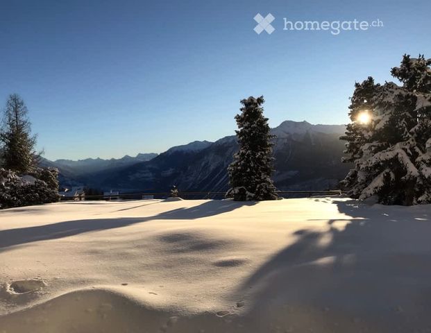 1.5 Zimmer, 32 m² - Photo 1