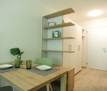 Modern Living mit Aussicht – Möblierte Apartments am Uetliberg - Foto 3