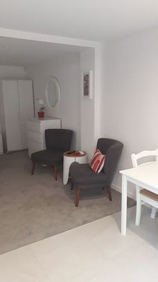 1 bedroom Unit - Newly Renovated - Fully Furnished - Photo 1