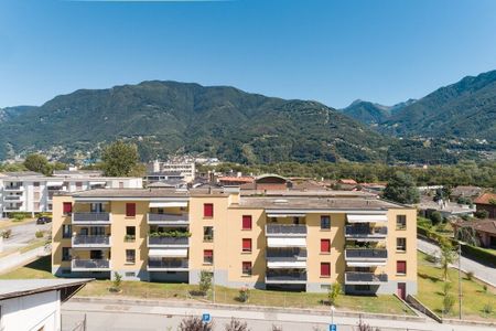 SEMENTINA, We rent 2½ room apartment - Photo 2