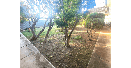 2-Bedroom Unit with City Views – Steps from Magill Estate Winery - Photo 3