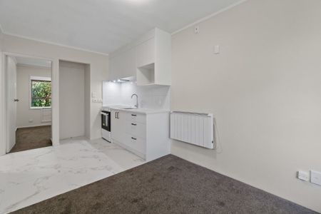 Stunning Newly Renovated 1-Bedroom Apartment in the Heart of Mt Albert - Photo 3