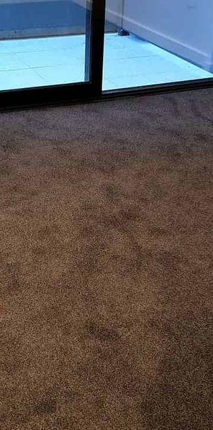 Paddington Living at its best! - Photo 1