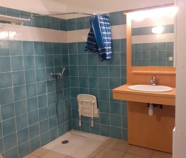 Location appartement 1 pièce - 27.42m² à Saint-jean (31240) - Photo 3