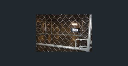 ✨ Modern North-East Facing One-Bedroom + Study – Luxury Living in the Heart of Macquarie Park ✨ - Photo 2