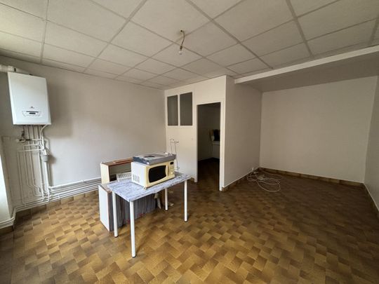 LOCATION 69250 NEUVILLE SUR SOANE - Appartement T3 de 69 m2 , Neuville-sur-saône - Photo 1