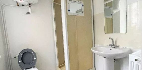 Location Appartement 1 pièces 25 m2 à La Guerche-de-Bretagne - Photo 2