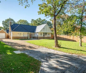 3 bedroom bungalow to rent - Photo 2