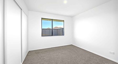 Fresh Two Bedroom Home! - Photo 5