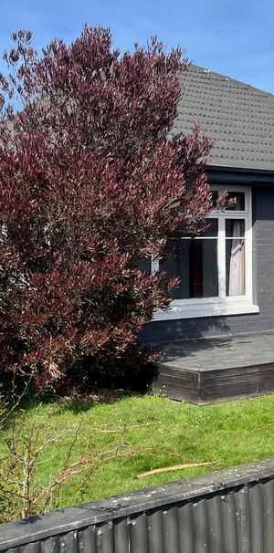 Neat & Tidy Three Bedroom Home - Photo 1