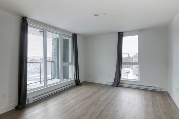 9675 Av. Papineau, app.9, H2B 3C8, H2B 3C8, Montréal - Photo 1