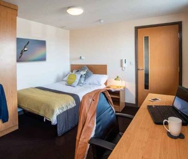 Studio Apartment - Photo 4