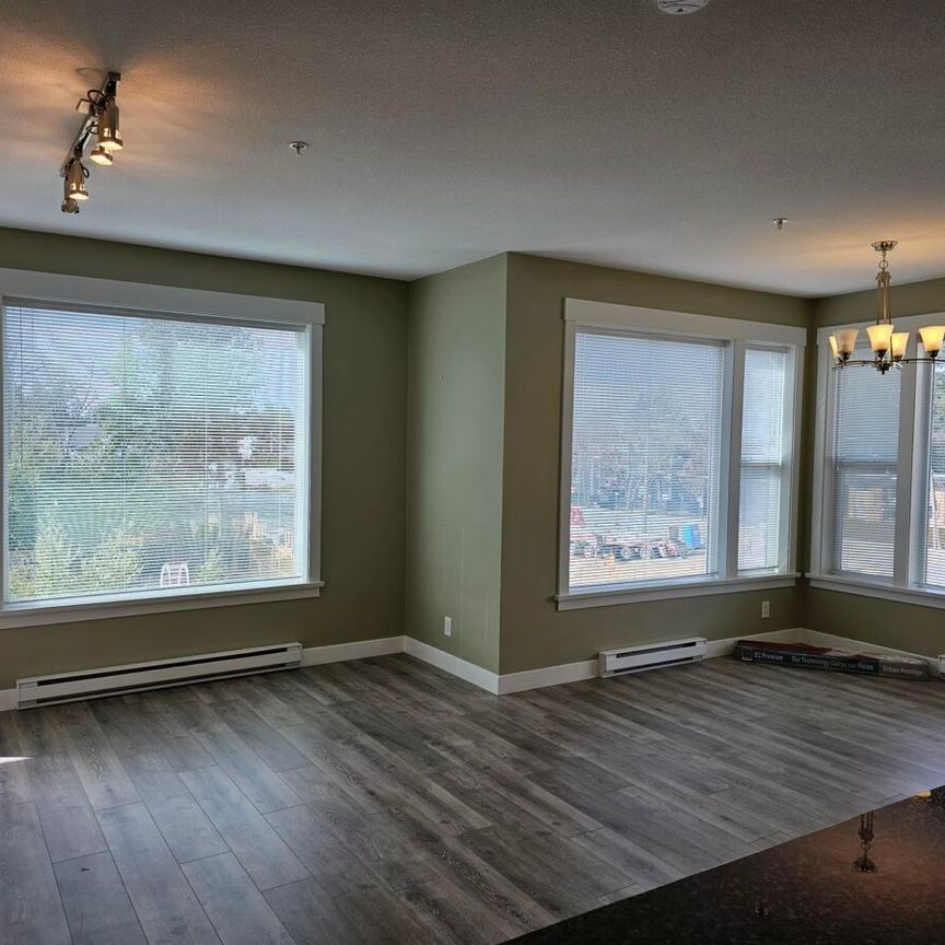 Spacious On Holland! - Photo 1