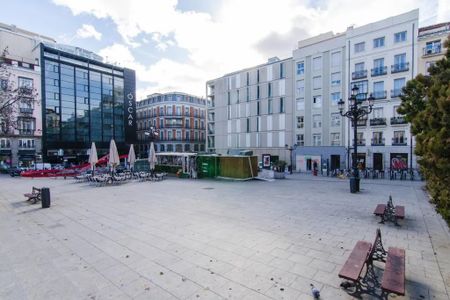 Plaza de Pedro Zerolo, Madrid, Community of Madrid 28004 - Photo 4