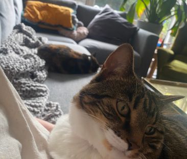 Forest Lodge - Photo 4