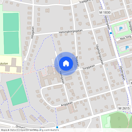 Torggatan 22A, Gamla Skolan