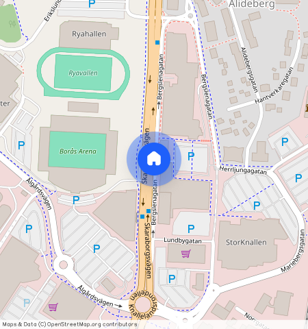 Bergslenagatan, Borås