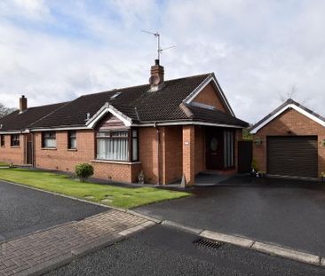 21 Taughrane Heights, Belfast, BT66 7RS - Photo 4