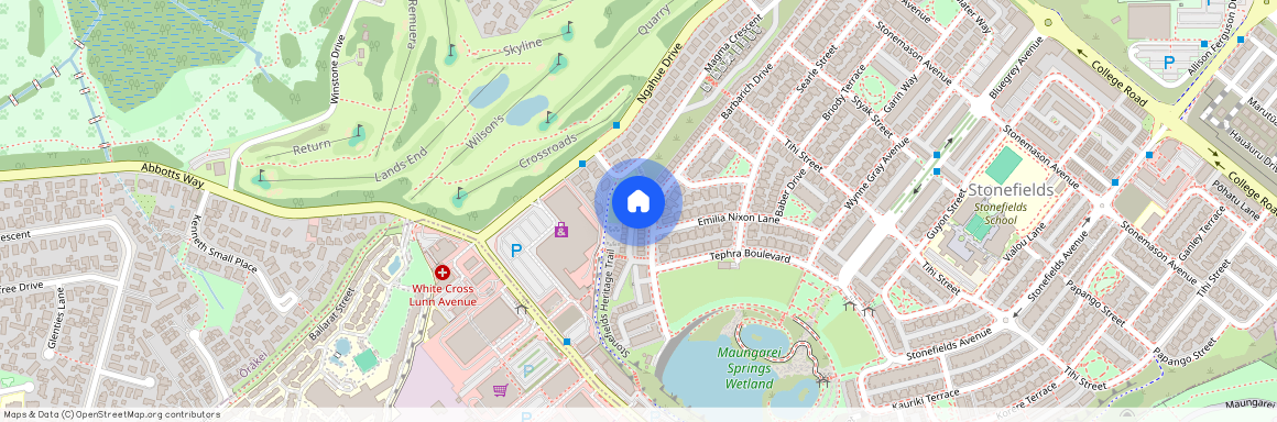 165 Barbarich Drive, Stonefields, Auckland City