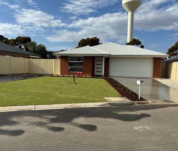 9 Santolina Drive, Mildura VIC 3500 - Photo 4