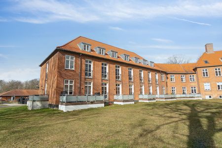 Nyrenoveret 2-værelses i Dr. Sells Park - Foto 4