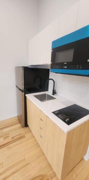 1 CH - 1 SDB - Montréal - $1,195 /mo - Photo 1