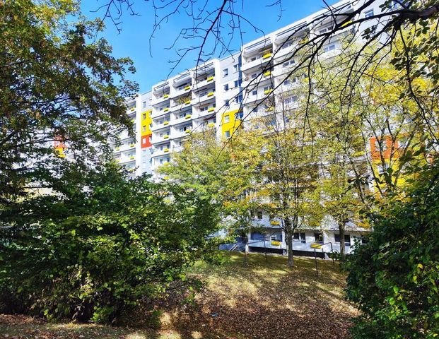 3-Raum-Wohnung - Foto 1