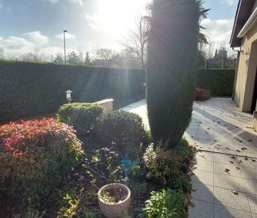 Maison à louer 3 pièces • 81 m2 Nègrepelisse - Photo 6