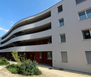 Brugg / 2.5 Zimmer Wohnung 3.3 - Foto 6