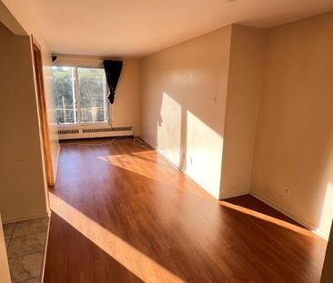 1 CH - 1 SDB - Montréal - $1,250 /mo - Photo 1