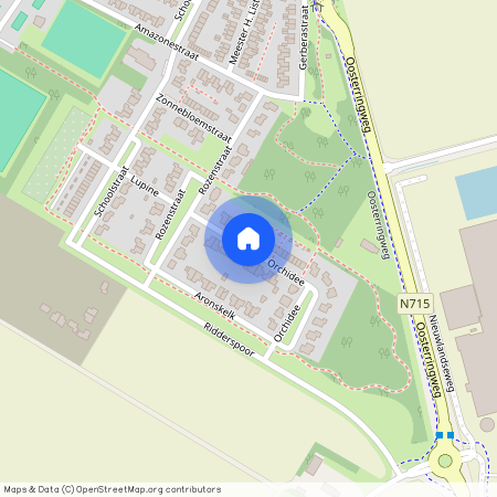 Orchidee, 8315 BD Luttelgeest