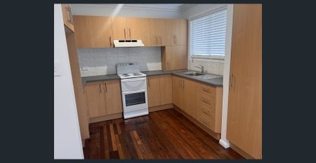 Freshly Updated Family Home in a Peaceful Pocket - Photo 4