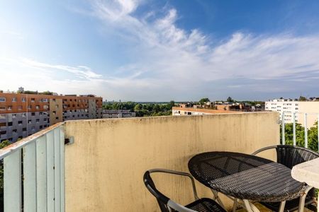 T3 MEUBLE AVEC TERRASSE - NEUDORF - Photo 4