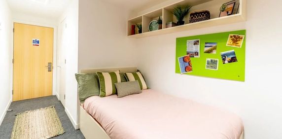 Room in a Shared Flat, Hollingdean Road, BN2 - Photo 2