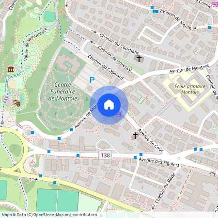 1007, Lausanne, Avenue De Cour, 155