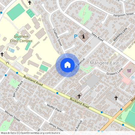 22A Royton Avenue, Mangere East, Manukau City