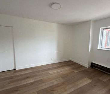 1 CH - 1 SDB - Montréal - $1,250 /mo - Photo 4
