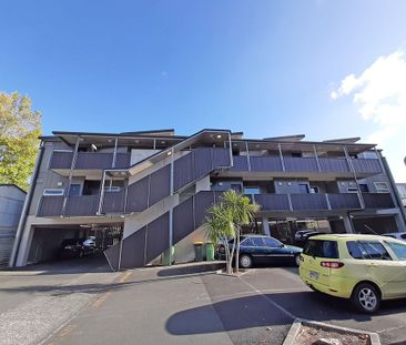 Albany - modern apartment fantastic location - Photo 6