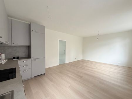 DIAMANT 197 - Photo 3