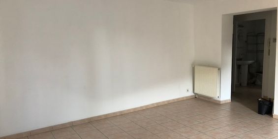 APPARTEMENT A LOUER VIVIERS 2 PIECES 49 M² - Photo 3